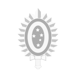 Exercito Brasileiro